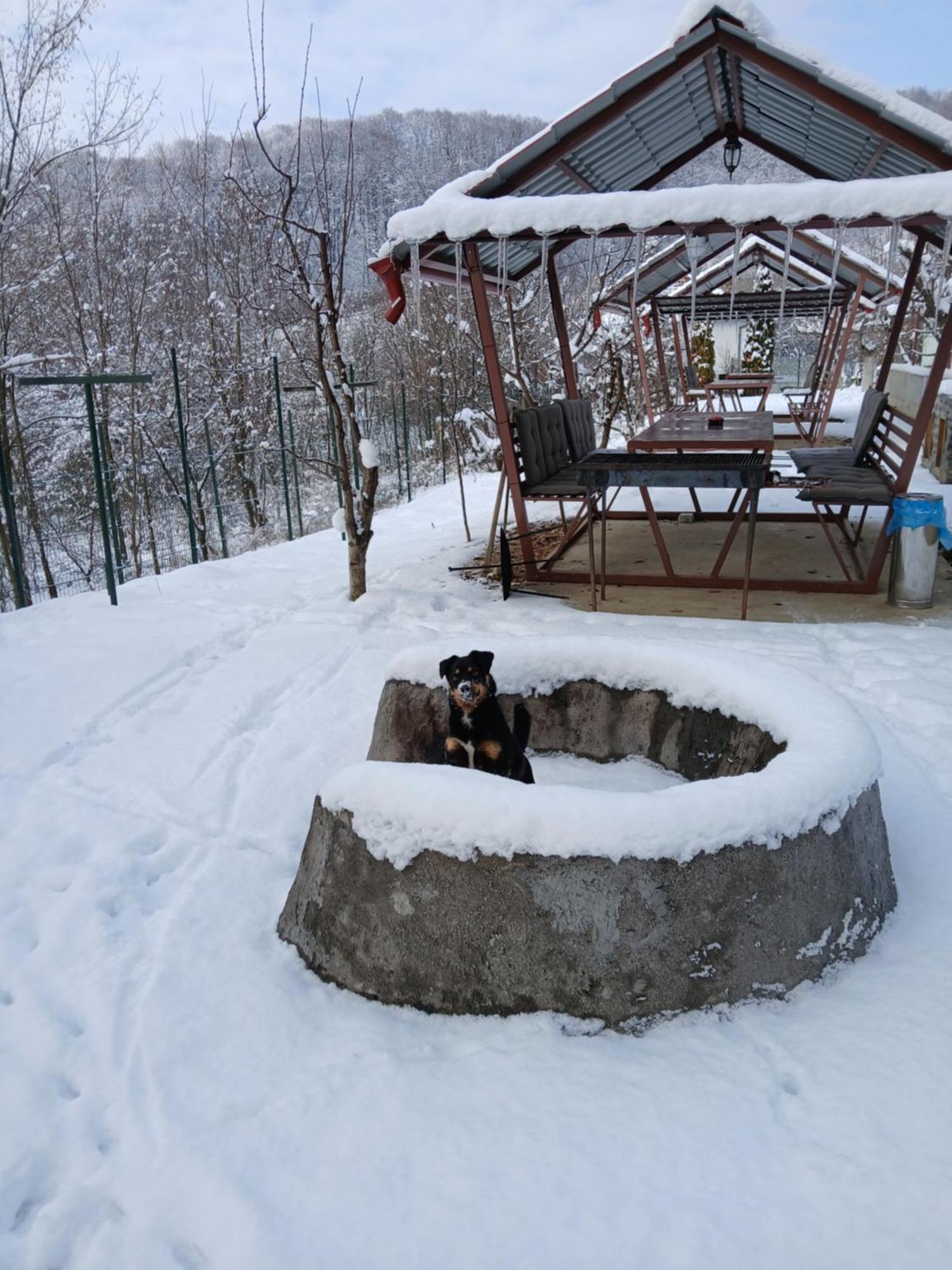 Perla Argesului, Ciubar, Piscina, Lift, Gratar, Cabana, Pensiuni, Hotel Cazare Transfagarasan Curtea De Arges Albestii de Arges Eksteriør billede